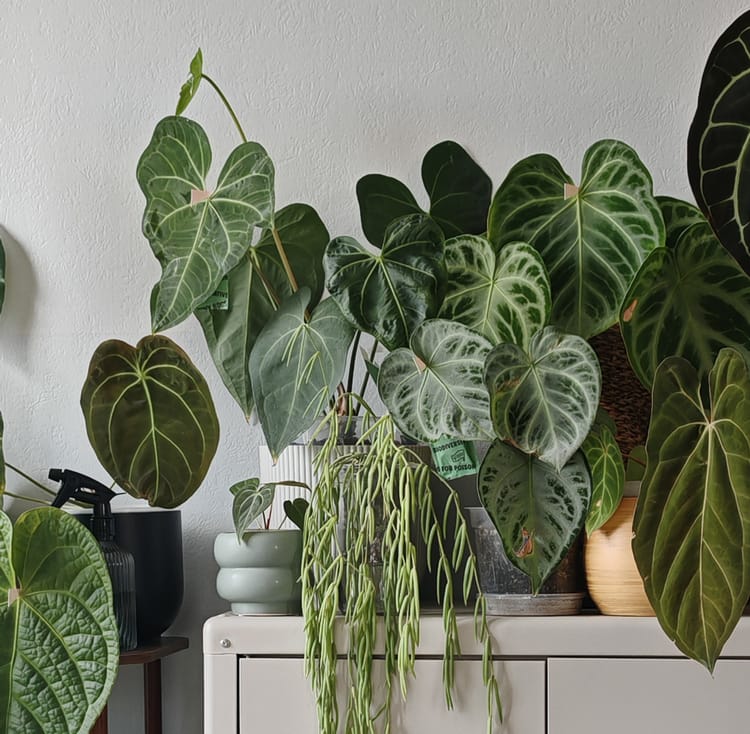 La main verte est un mythe